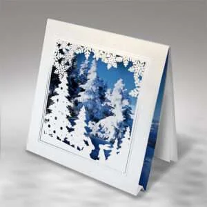 Weihnachtskarte FS816tb